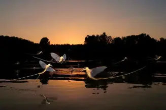 Szeged Tisza 3