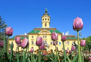 Városháza, Szeged