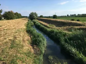 Gaja-patak, Székesfehérvár