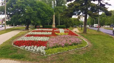 Turul madár, Székesfehérvár