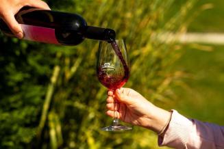 Kezdődik a Kerekdomb Fesztivál