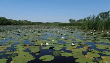 Tiszafured Tisza Tavi Vizi Kirandulas 2