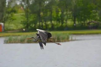 Tiszalok Kis Tisza Okocentrum 3