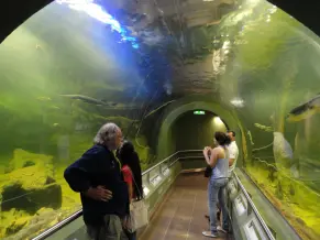 Tiszatavi Okocentrum 2