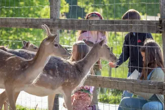 Tiszatavi Okocentrum 4