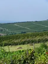 Tokaj Szolo Tanosveny 2