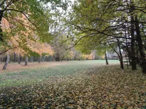 Angol Park, Tormásliget