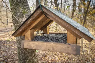 Torokalint Tavaszi Herics Tanosveny 3