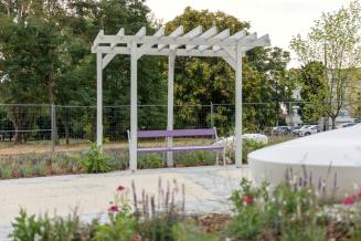 Megnyílt a főváros első levendulaparkja