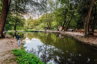 Visegrádi Pisztrángos Tavak, Visegrád