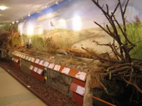 Vizparti Elet Haza 2