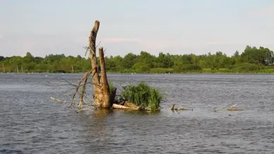 Kis-Balaton, Zalavár