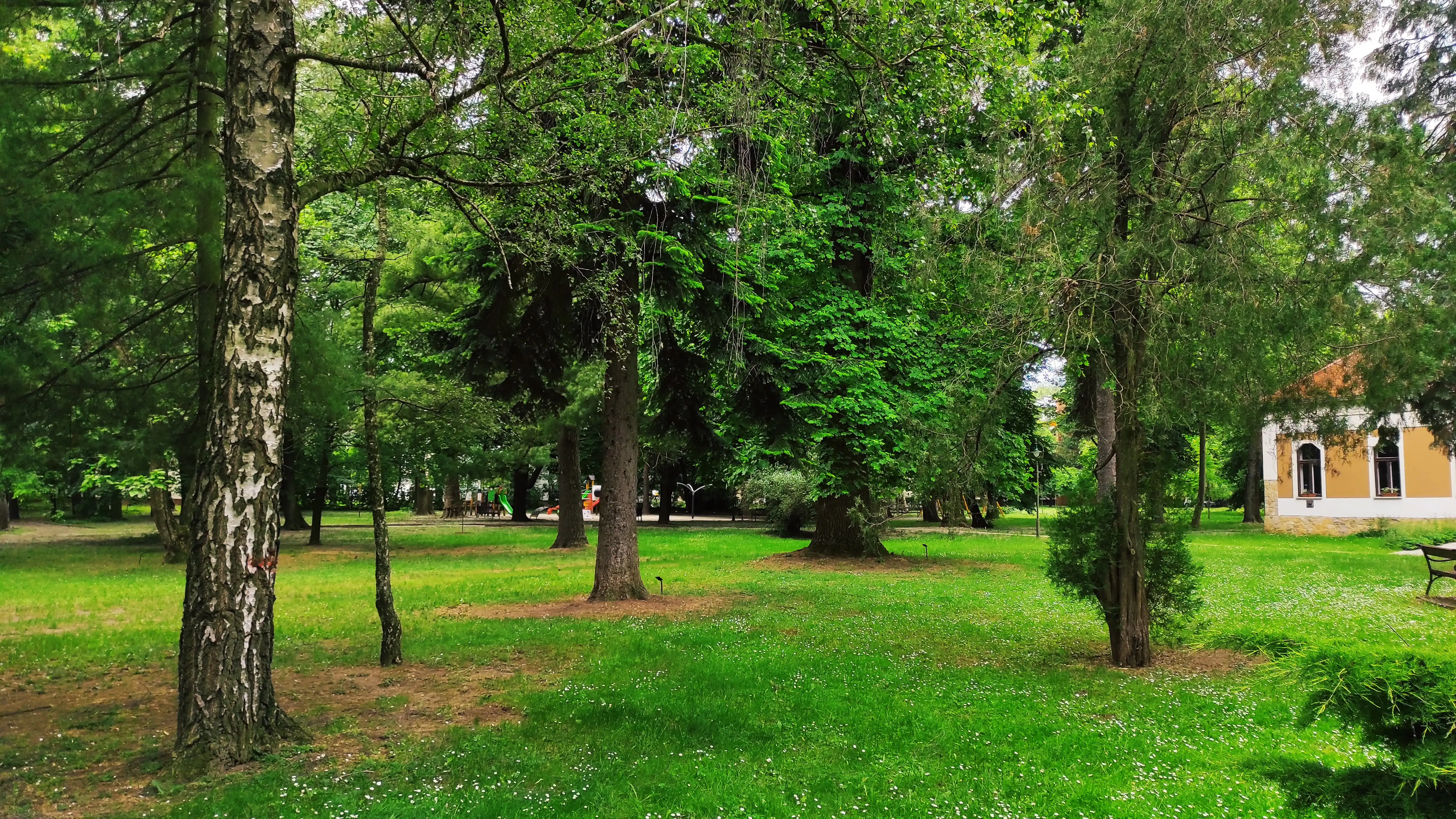 Kirandulastervezo-Bonyhad-Perczel-kerti-Arboretum-3.webp