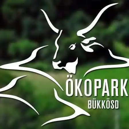 Kirandulastervezo-Bukkosd-Okopark-1.webp