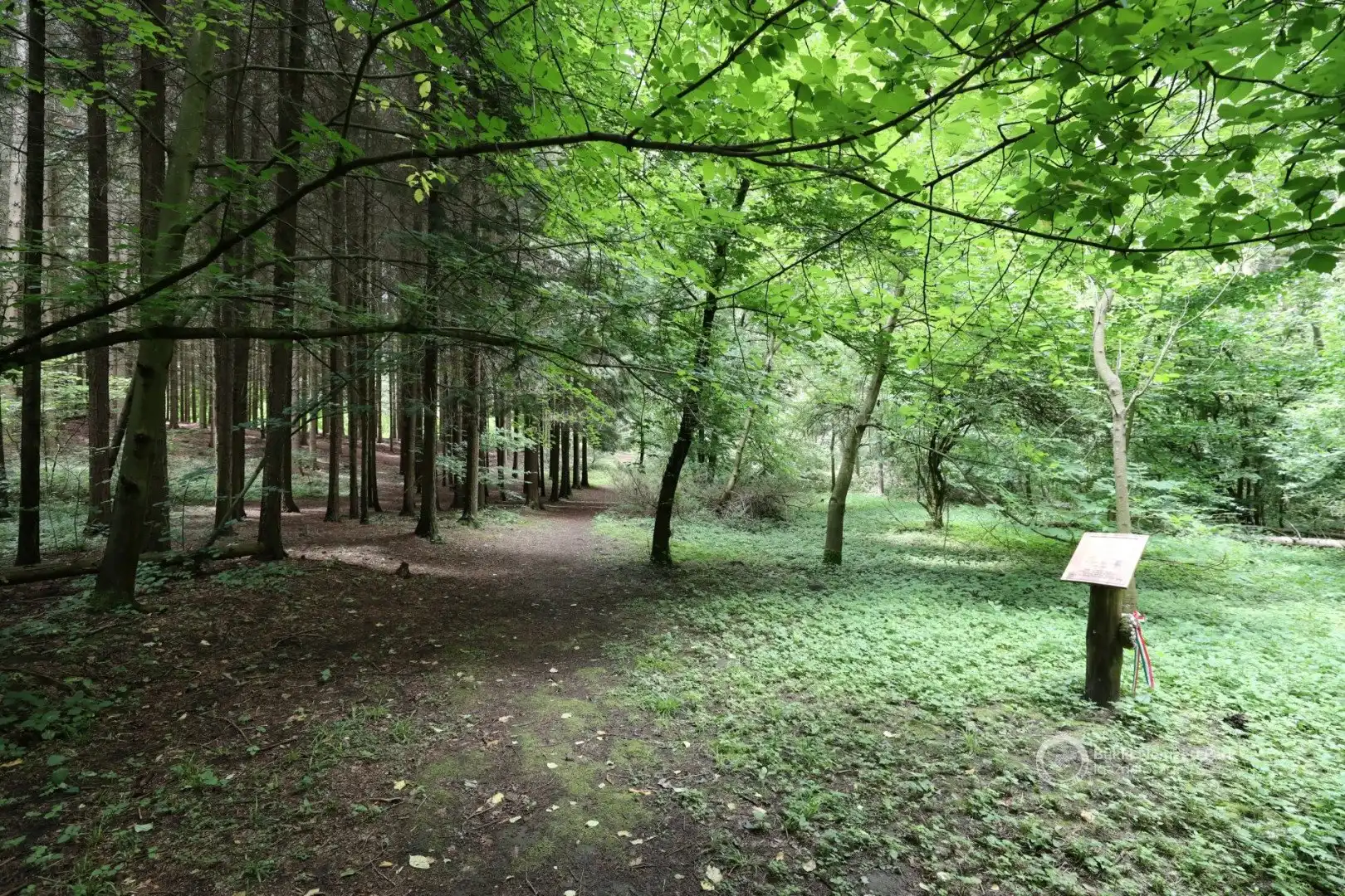 Kirandulastervezo-Tar-Tuzson-Arboretum-2.webp
