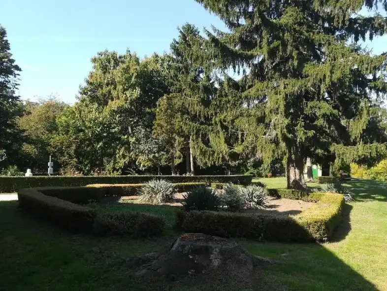 Tiszaloki-Arboretum-3.webp