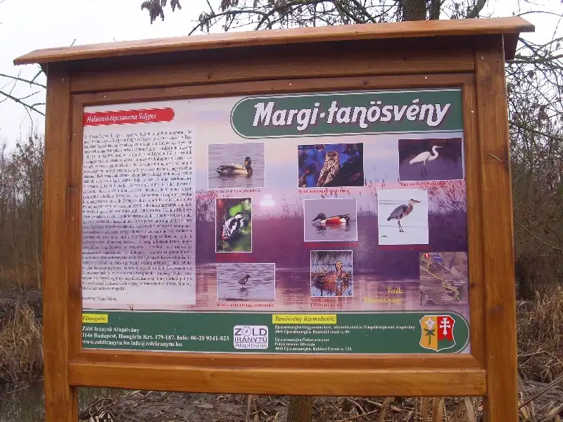Ujszentmargita_Margi_tanosveny_3.webp