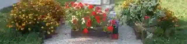 Kitelepítettek emlékköve