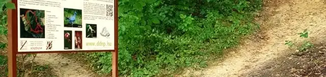 Denevér tanösvény