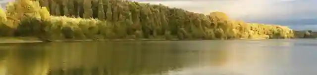 Adonyi Holt-Duna-ág