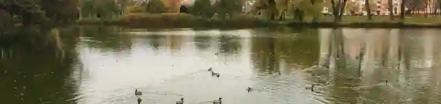 Csónakázó-tó és Szoborpark