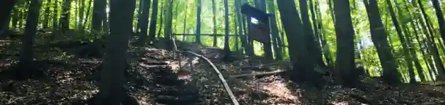 Sárcsikút Tanösvény