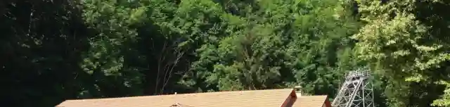 Ajkai Bányászati Múzeum Őslény-és Kőzettár