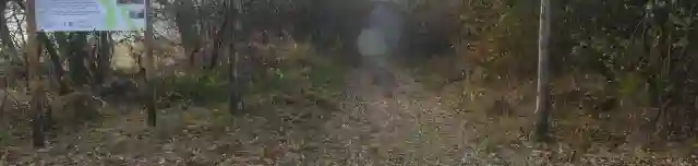 Dolina-völgyi-tanösvény