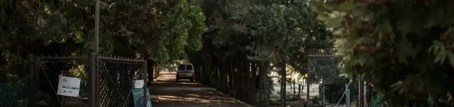 Parkosított kisállattemető