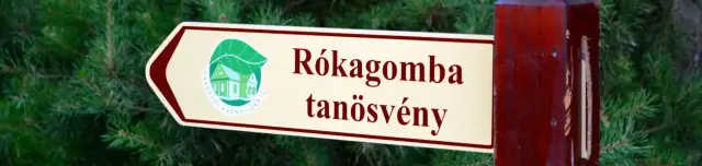 Rókagomba tanösvény