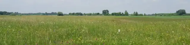 Csodarét tanösvény