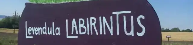 Levendula-Labirintus levendulamező