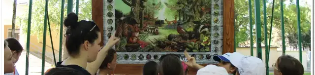 Nagy Fakopáncs Tanösvény