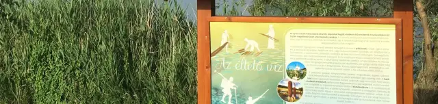 Kígyózó tanösvény