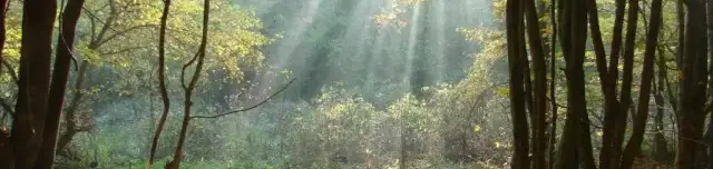 Cuha-völgyi pihenőpark és Erdei tanösvény