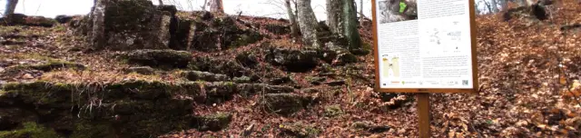 Kőris-hegyi Ördög-lik