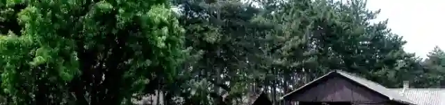 Balatonakali Ifjúsági Tábor