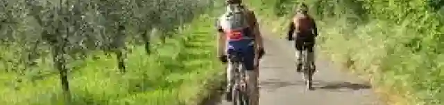 Balatonfelvidék-Kálimedence kerékpártúra