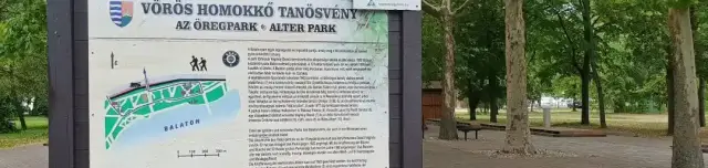 Vörös Homokkő tanösvény