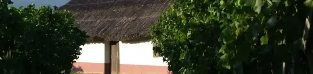 Szőlőhegy műemlék présházakkal