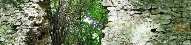 Árokfői templomrom