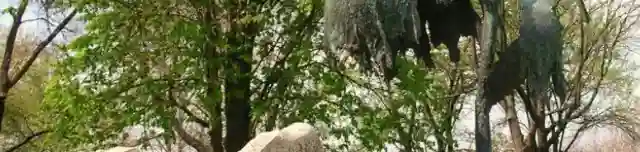 Millenniumi emlékmű