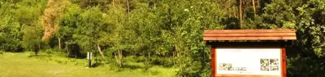 Büdöskúti Arborétum