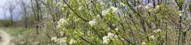 Tátorján tanösvény