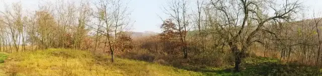 Árpád-kori földvár