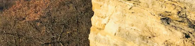 Biatorbágyi kaptárkövek