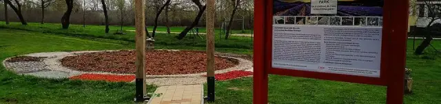 Levendula Mezítlábas Park