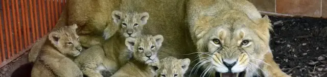 Fővárosi Állat- és Növénykert