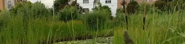 Budai Arborétumtól induló túra