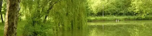 Hidegkúti horgásztó